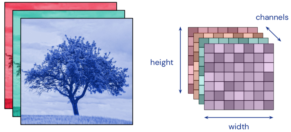 Convolution inputs and outputs