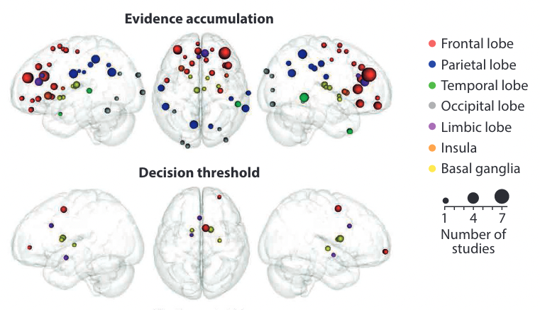 Brain activity & DDM