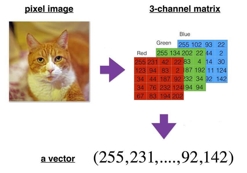 Reshaping an image