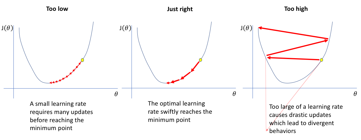 Learning rate