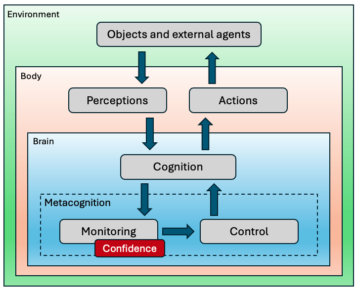 Metacognition diagram