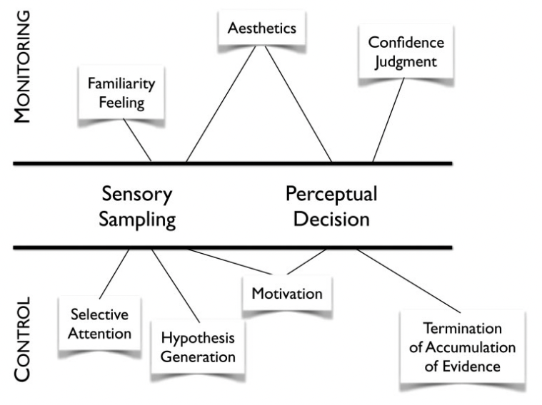 Metaperception