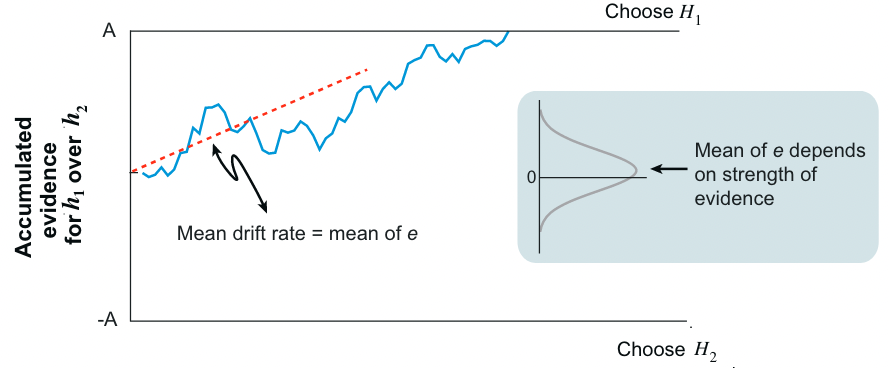 Diffusion model