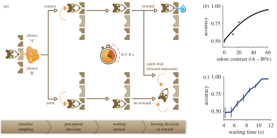 Task variation