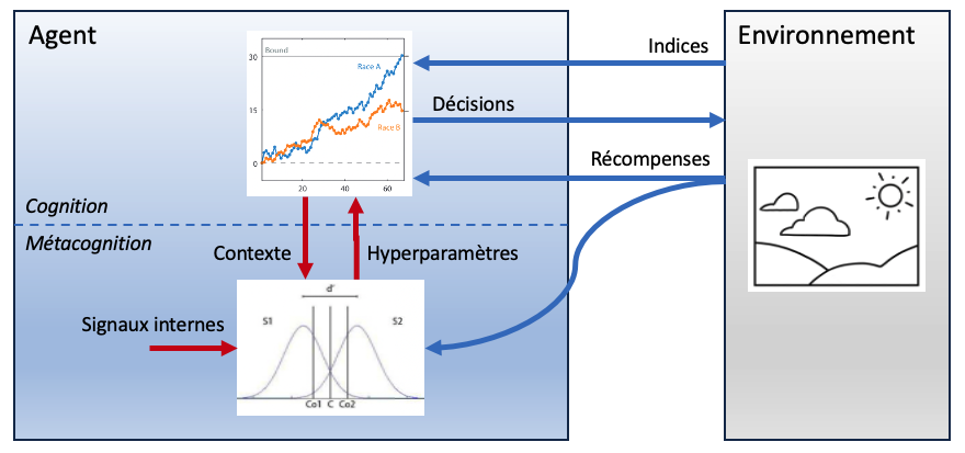 Architecture of a confidence-regulated AI